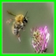 http://img79.xooimage.com/files/8/8/2/c2-33960fb.jpg