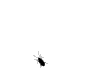 125 125
