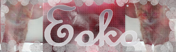 http://img79.xooimage.com/files/e/5/7/eoko-345f265.png