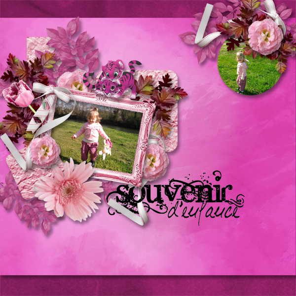 http://img79.xooimage.com/files/f/3/2/template8-titi-ba...clics600-3408849.jpg
